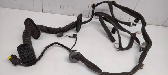 Renault Scenic III - Grand scenic III Front door wiring loom 241242108R 553919 253919AVDB