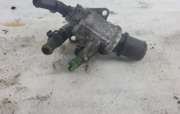 Thermostat/thermostat housing