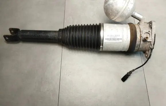 Volkswagen Phaeton Rear shock absorber/damper 3D0616001N