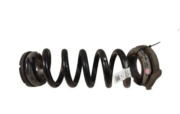 Rear coil spring