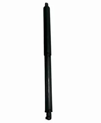 Tailgate/trunk strut/damper