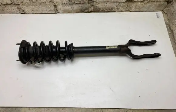 Dodge Durango Front shock absorber with coil spring 68029501AE 1A14973A 55553E