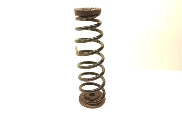 Rear coil spring