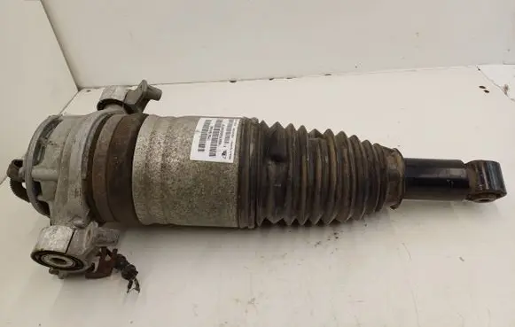 Porsche Cayenne (92A) Rear shock absorber/damper 7P5616019AK