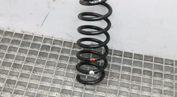 Nissan Qashqai Rear coil spring