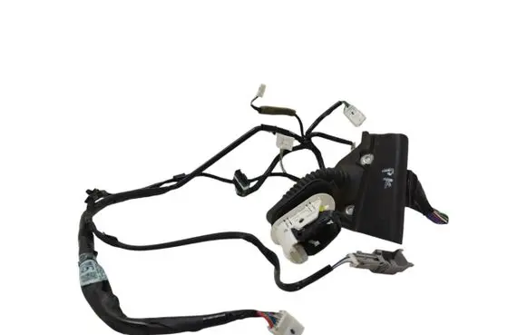 Lexus IS III XE30 Front door wiring loom 8215253