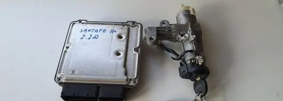 Hyundai Santa Fe Engine control unit/module 391182F440 0281017541