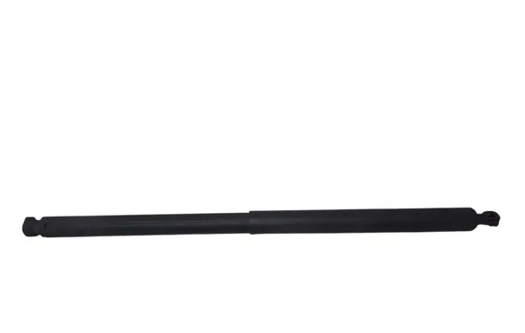 Tailgate/trunk strut/damper