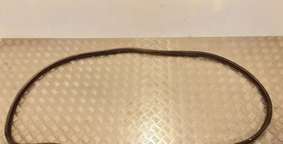 Dodge Durango Rear door rubber seal (on body) 
