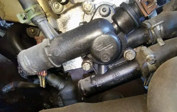 Renault Scenic I Engine coolant pipe/hose
