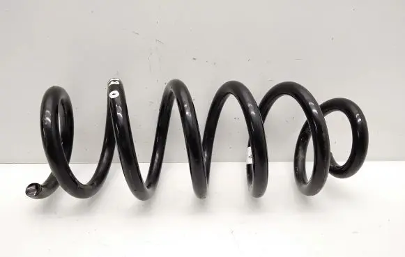 Front coil spring