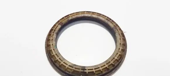 Coil spring mount