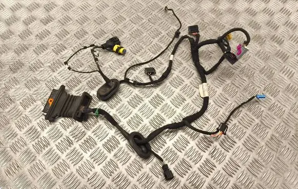 Volkswagen Golf V Front door wiring loom 1K0959843C 1K9971120AJ