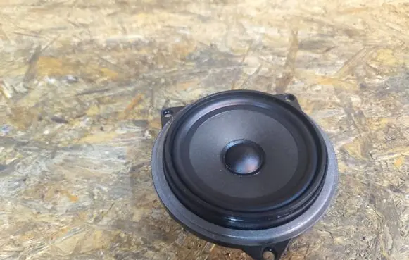 BMW X1 E84 Front door speaker 430407858431 18820010 9143232