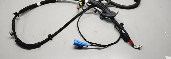 Renault Arkana Other wiring loom 240103291R
