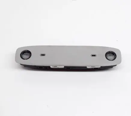 Tesla Model 3 Front seat light 109257400C