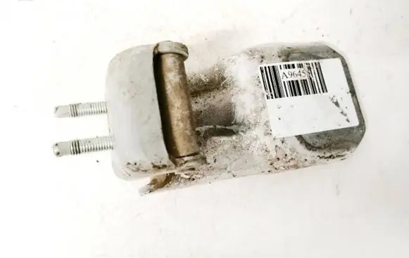 Opel Insignia A Rear door lower hinge 13247936