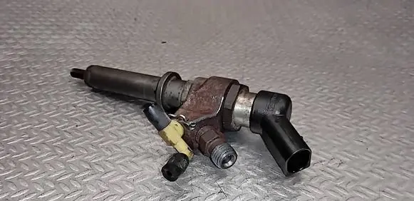 Peugeot 307 Fuel injector 9636819380