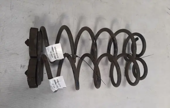 Rear coil spring