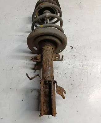 Renault Scenic III - Grand scenic III Front shock absorber/damper 543020017R E4656901 05080001