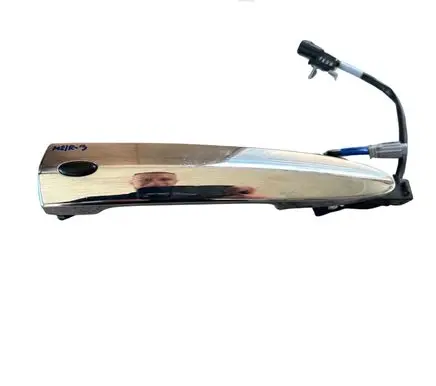 Nissan Leaf II (ZE1) Front door exterior handle DAPWSWR PCPET