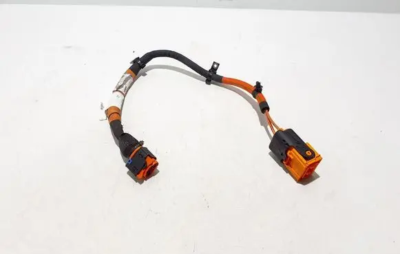 Renault Austral Other wiring loom 240413579R