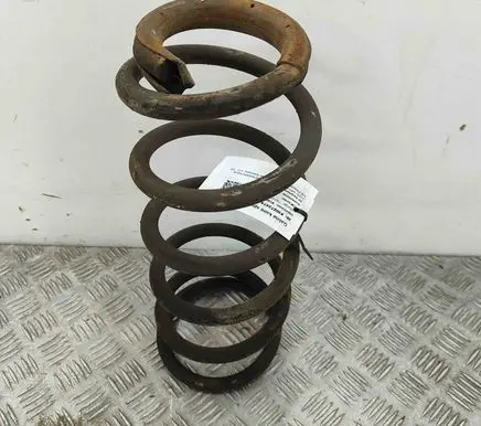 Rear coil spring