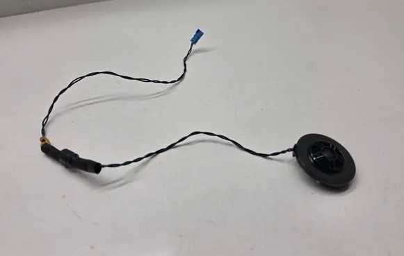 BMW X3 G01 Rear door speaker 6813697