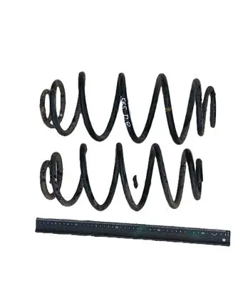 Rear coil spring