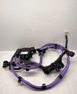 BMW X5 G05 Positive wiring loom 8796333 765005703 765005703C