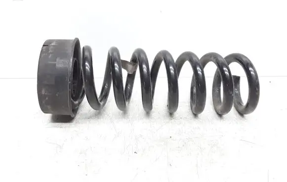 Rear coil spring