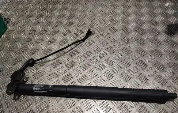 Tailgate/trunk strut/damper