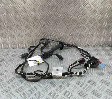 Front door wiring loom