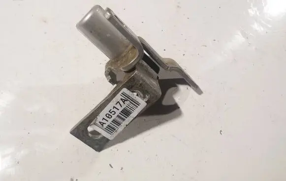 Ford S-MAX Rear door lower hinge