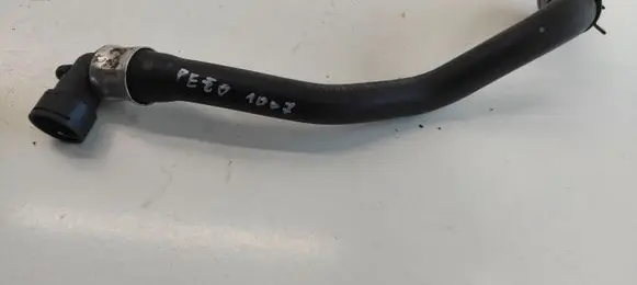 Peugeot 1007 Coolant pipe/hose 