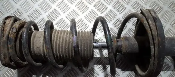 Rear coil spring