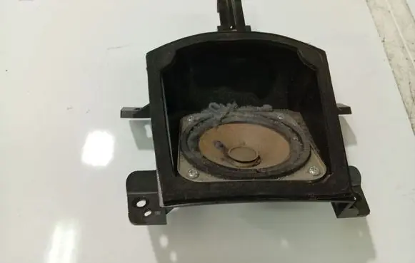 Opel Antara Front door speaker 95673592V2