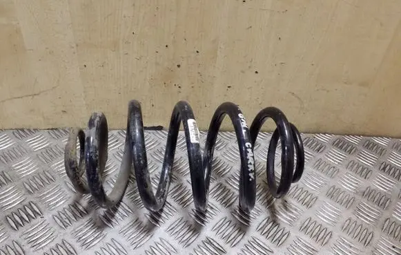 Rear coil spring