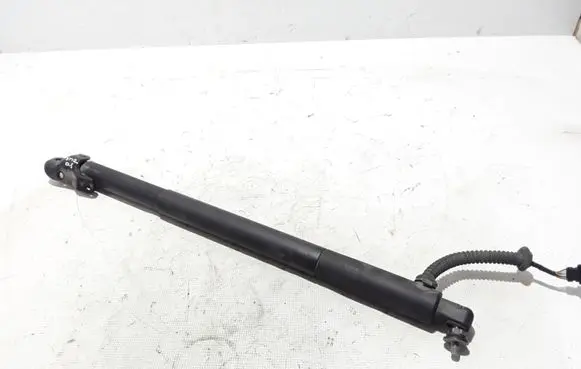 Tailgate strut