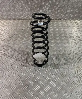 Ford Mustang V Rear coil spring BR335560AB