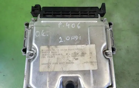 Peugeot 406 Engine control unit/module ECU