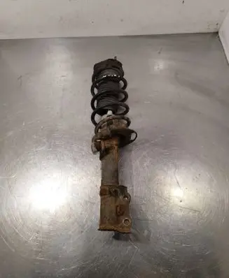 Ford B-MAX Front shock absorber with coil spring AP3118045AD