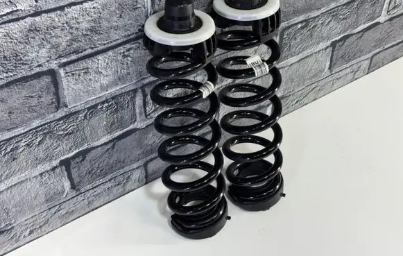 BMW 3 G20 G21 Rear coil spring 6875395 6888020