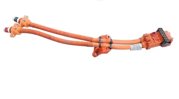 Tesla Model X Other wiring loom 147118100C