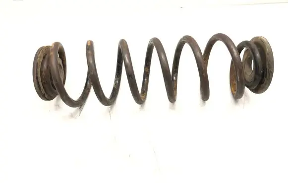 Volkswagen PASSAT B6 Rear coil spring