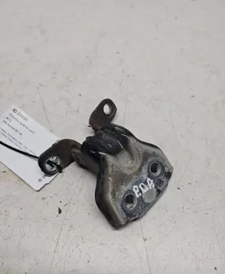 KIA Sorento Front door lower hinge 
