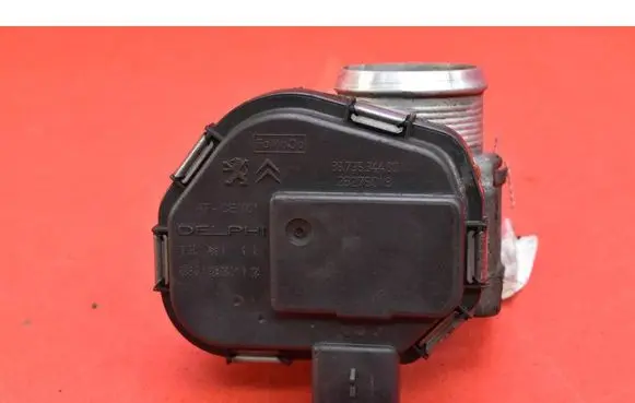 Ford Focus Throttle body valve 9673534480