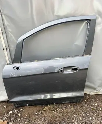 Ford Ecosport Front door