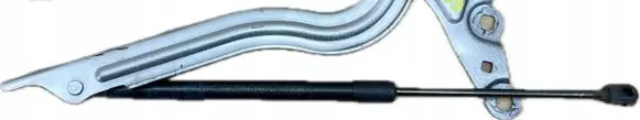 Buick Enclave II Engine bonnet/hood hinges 23432757