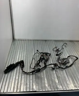 BMW X6 E71 Front door wiring loom 6977054